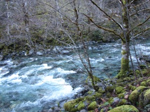 Eightmile Creek