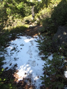 Snow on the Trail